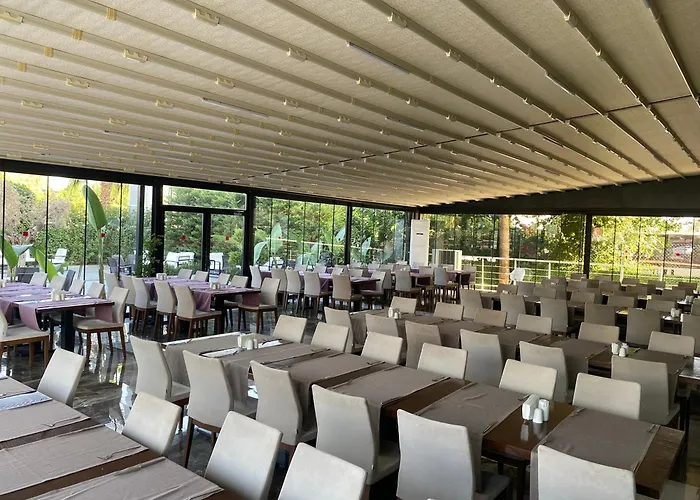 B Business Hotel & Spa